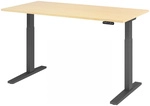 XMKA 16 G | Schreibtisch - Ahorn 160 x 80 elektrisch h&ouml;henverstellbar