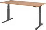 XDKB 19 G | Schreibtisch - Nussbaum