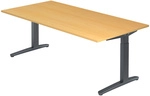 XTRA XB 2E GG | Schreibtisch - Buche 200 x 100 h&ouml;henverstellbar