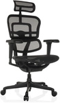 ERGOHUMAN SIGNATURE GEN2 | Netz - Luxus Chefsessel Schwarz