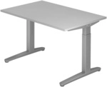 XTRA XB 12 SS | Schreibtisch - Grau 120 x 80 h&ouml;henverstellbar