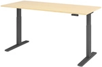 XMKA 19 G | Schreibtisch - Ahorn 180 x 80 elektrisch h&ouml;henverstellbar
