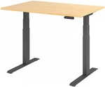 XDKB 12 G | Schreibtisch - Ahorn 120 x 80 elektrisch h&ouml;henverstellbar