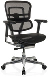 ERGOHUMAN BASE GEN2 | Netz - Luxus Chefsessel Schwarz
