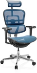 ERGOHUMAN ULTRA GEN2 | Netz - Luxus Chefsessel Blau