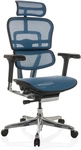 ERGOHUMAN GEN2 | Netz - Luxus Chefsessel Blau