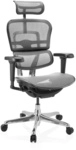 ERGOHUMAN ULTRA GEN2 | Netz - Luxus Chefsessel Grau