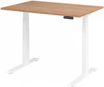 XDKB 12 W | Schreibtisch - 120 x 80 Nussbaum elektrisch h&ouml;henverstellbar