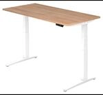 XBHM 16 WW | Schreibtisch 160 x 80 elektrisch h&ouml;henverstellbar Nussbaum