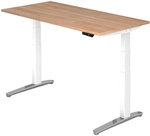 XBHM 16 WC | Schreibtisch - 160 x 80 Nussbaum elektrisch h&ouml;henverstellbar