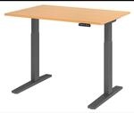 XMKA 12 G | Schreibtisch 120 x 80 elektrisch h&ouml;henverstellbar Buche