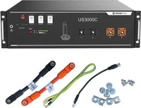 Pylontech US3000D, Pylontech US3000D 48 V LiFePO4-Batteriemodul mit 3,55 kWh -...
