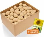 100x Meisenkn&ouml;del ohne Netz, Fettfutter f&uuml;r Wildv&ouml;gel, 9000g Vogelfutter