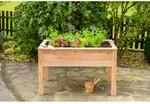 Westmann Holz Hochbeet Stelzenhochbeet natur 120x65x75 cm