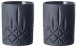 Nachtmann Whiskygl&auml;ser Noblesse Black Edition 295 ml 2er Set