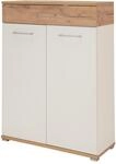 Germania Schuhschrank mit zwei T&uuml;ren GW-TOPIX 3770 versch. Farben