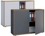 VCM Holz B&uuml;roschrank Ordner Aktenschrank B&uuml;rom&ouml;bel Schrank Salia 2-fach Breite 100