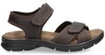 Sanders Basics Gr. 43