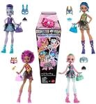Mattel HYV64 sort. - Monster High - Buried Secrets - 1 Mystery Puppe und 5
