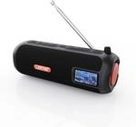 LEICKE DAB+ Radio Tube tragbarer Bluetooth Lautsprecher mit RGB-LED Lichter