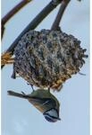 dobar Vogelfuttermix - versch. Varianten