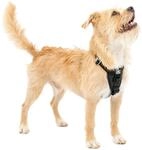 Kurgo Tru-Fit Autosicherheitsgeschirr f&uuml;r Hunde, Gr&ouml;&szlig;e S, Schwarz
