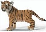 Schleich 14371 Tigerjunges, stehend
