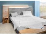 BeCoBeCo Kuschelweich Set MF50 Ganzjahresdecke und Kissen 80x80135 x 200 cm