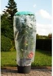 Pflanzhilfe Tomatenhut 3er Set mit Schutzfolie