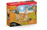 Schleich Outback Abenteuer