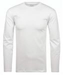 Baisc Shirt Longsleeve Herren Longsleeve