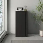 Metallschrank Burl&ouml;v Stahl Schwarz [en.casa]