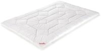 Paradies Winterbettdecke 1360g