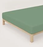 schlafgut Pure-Spannbettlaken