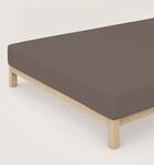 schlafgut Premium-Spannbettlaken