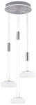 Paul Neuhaus LED-Pendelleuchte 4flg