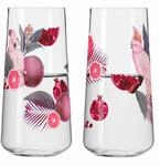Ritzenhoff Cristal 2er Universalglas 614ml