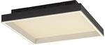 Paul Neuhaus LED-Deckenleuchte 1flg