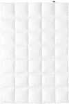 CENTA-STAR Ganzjahresbett 520g