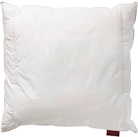 CENTA-STAR Kissen 900g