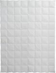 CENTA-STAR Dauneneinziehdecke 230g