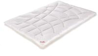 Paradies Ganzjahresbettdecke 1250g