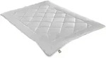 IRISETTE Leicht-Steppbett Irisette Kamelhaar ECO &brvbar; wei&szlig; &brvbar; Ma&szlig;e (cm): B: 135
