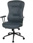 Chefsessel &brvbar; blau &brvbar; Ma&szlig;e (cm): B: 72 H: 118 T: 72.0
