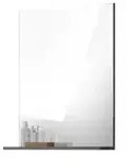 Spiegel &brvbar; verspiegelt &brvbar; Spiegelglas &brvbar; Ma&szlig;e (cm): B: 60 H: 79
