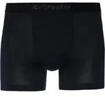 Icebreaker 125 Cool-Lite Anatomica Unterhose Herren in black, Gr&ouml;&szlig;e M - schwarz