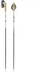 LEKI Neotrail Pro FX.One SL Stock | Gr. 115 | grau - grau