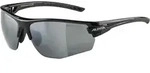 ALPINA TRI-SCRAY 2.0 HR Brille in black matt, Gr&ouml;&szlig;e Einheitsgr&ouml;&szlig;e - schwarz
