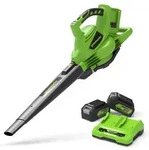 Greenworks POWERALL 48V (24V x 2) Laubbl&auml;ser / Laubsauger 322 km/h inkl. 2x 4Ah