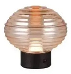Trio Reality TR57771113 LED Tischlampe EARL | 1,5W integrierte LED-Quelle |...